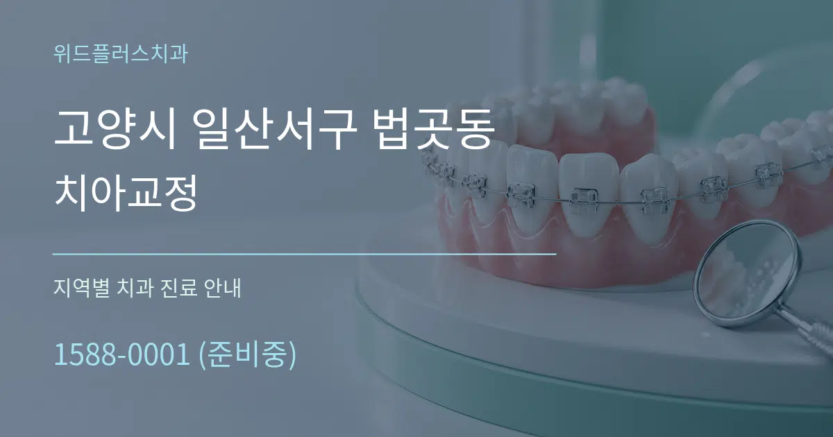 고양시 일산서구 법곳동 치아교정 대표 안내 그래픽