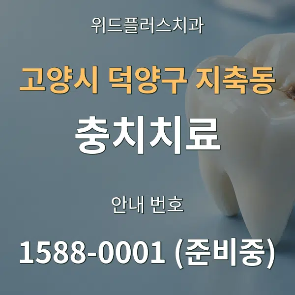 고양시 덕양구 지축동 충치치료 대표 안내 그래픽