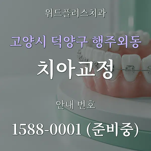 고양시 덕양구 행주외동 치아교정 대표 안내 그래픽