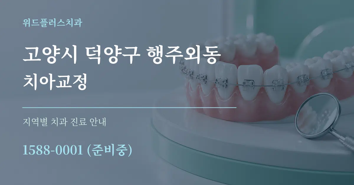 고양시 덕양구 행주외동 치아교정 대표 안내 그래픽