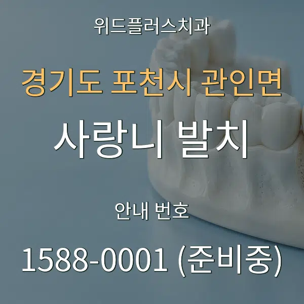 경기도 포천시 관인면 사랑니 발치 대표 안내 그래픽