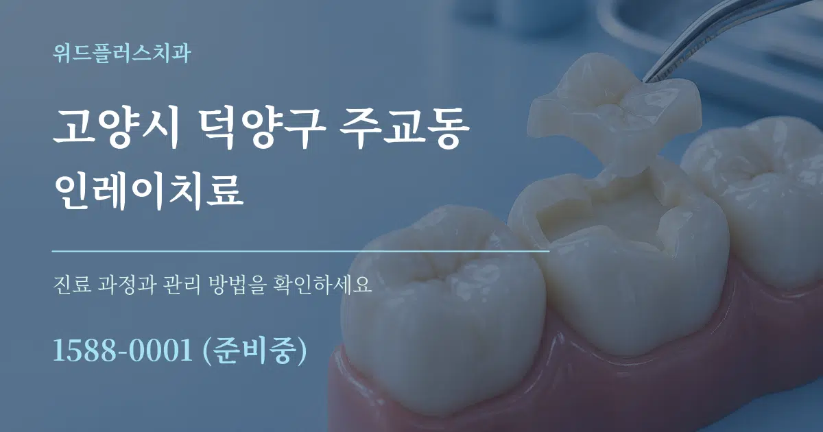 고양시 덕양구 주교동 인레이치료 서비스 이용 안내 그래픽