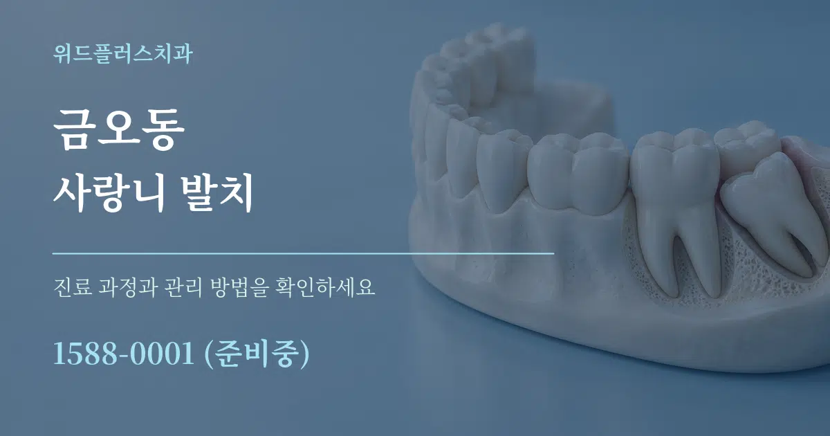 금오동 사랑니 발치 서비스 이용 안내 그래픽