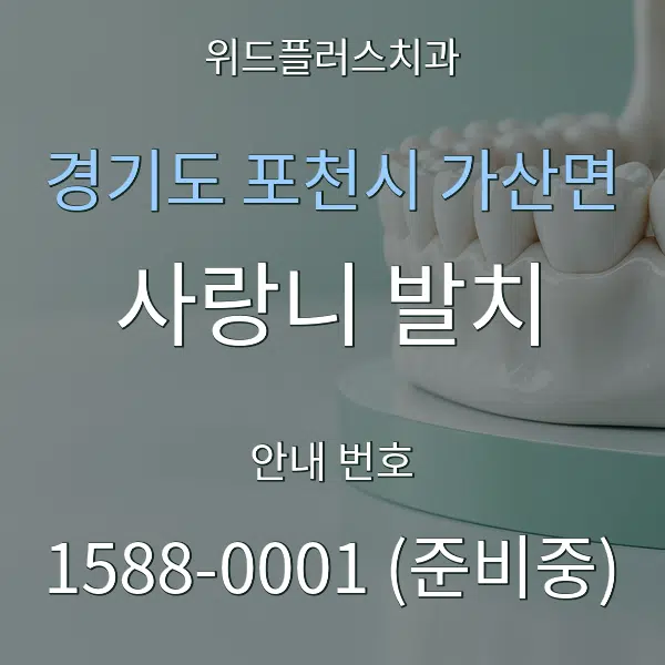 경기도 포천시 가산면 사랑니 발치 대표 안내 그래픽