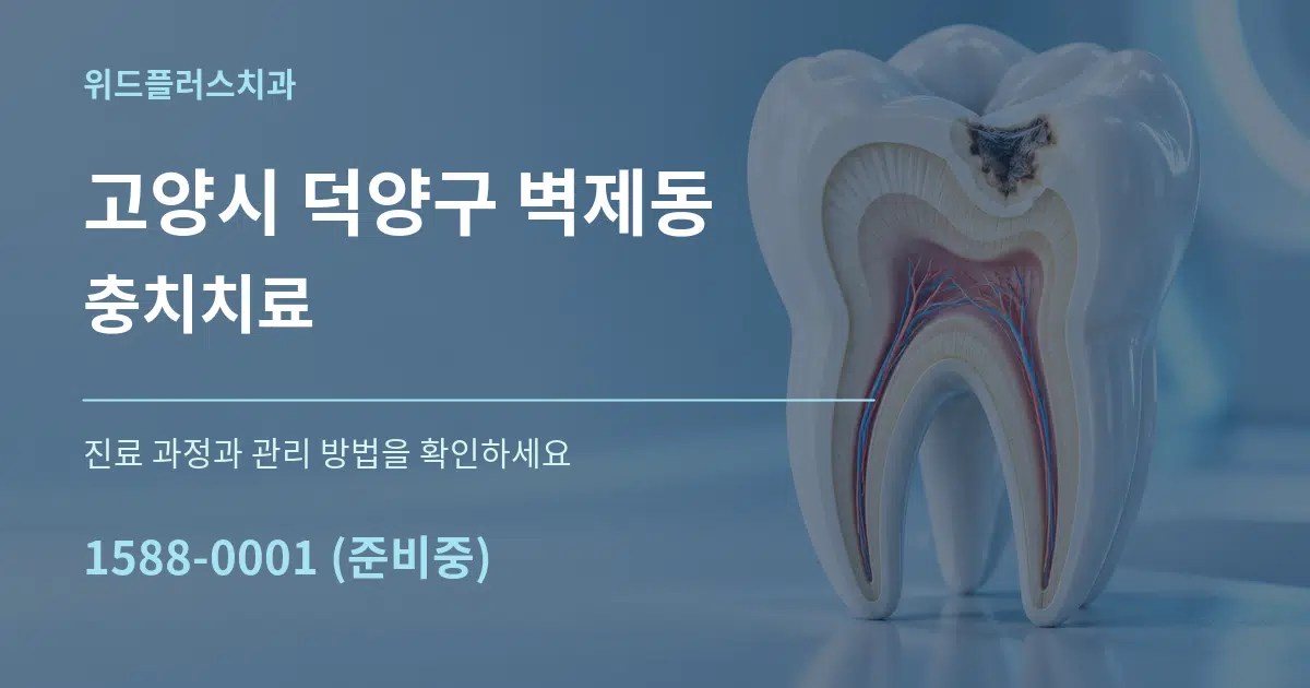고양시 덕양구 벽제동 충치치료 서비스 이용 안내 그래픽