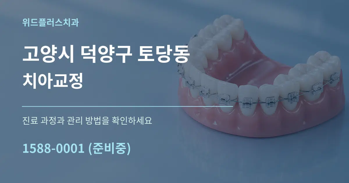 고양시 덕양구 토당동 치아교정 작업 조건 안내 그래픽