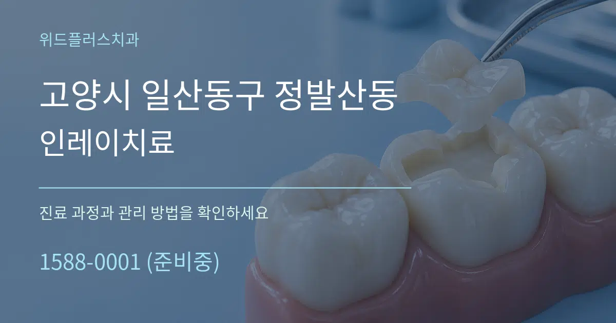 고양시 일산동구 정발산동 인레이치료 작업 조건 안내 그래픽