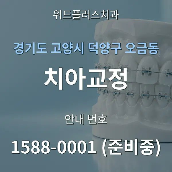 경기도 고양시 덕양구 오금동 치아교정 대표 안내 그래픽