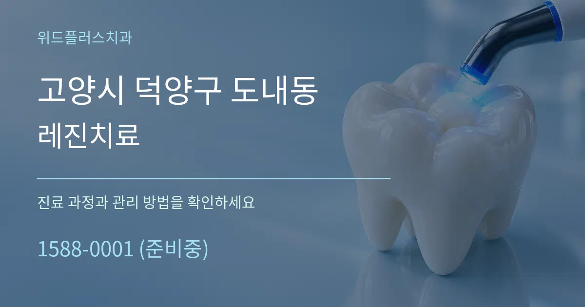고양시 덕양구 도내동 레진치료 서비스 이용 안내 그래픽
