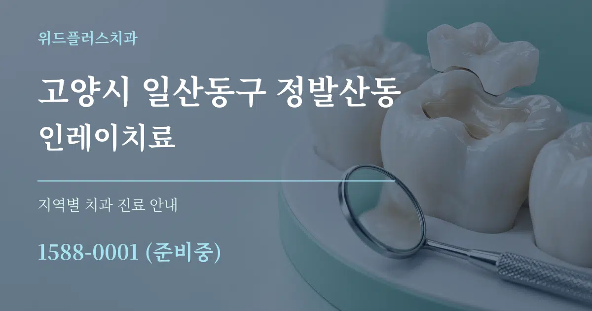 고양시 일산동구 정발산동 인레이치료 대표 안내 그래픽