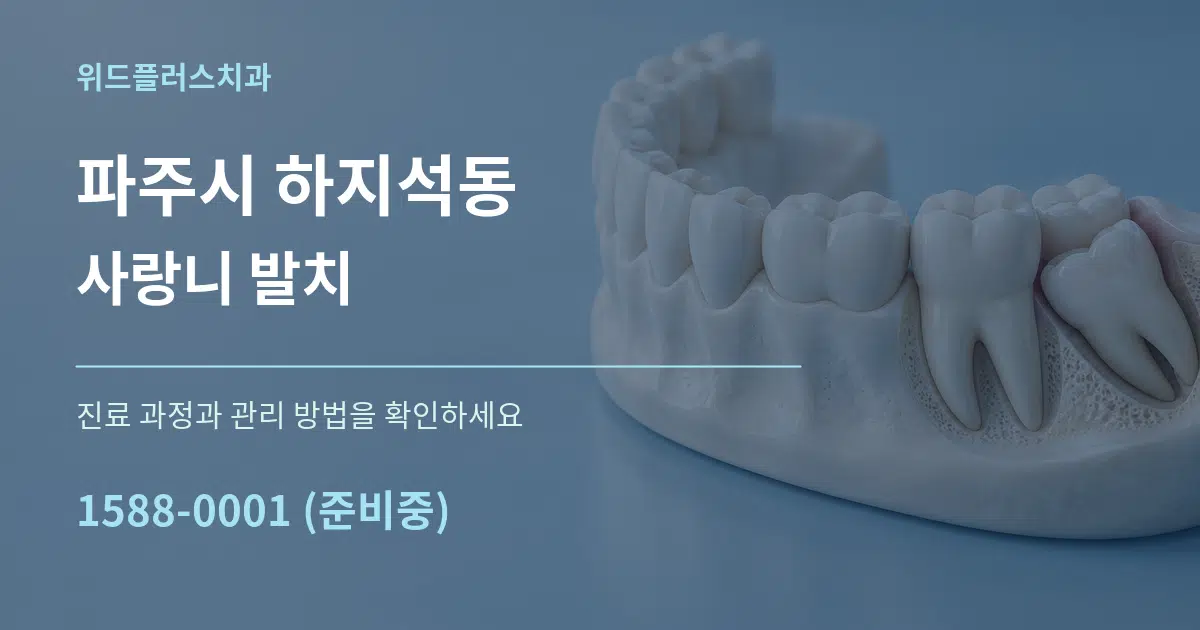 파주시 하지석동 사랑니 발치 작업 조건 안내 그래픽