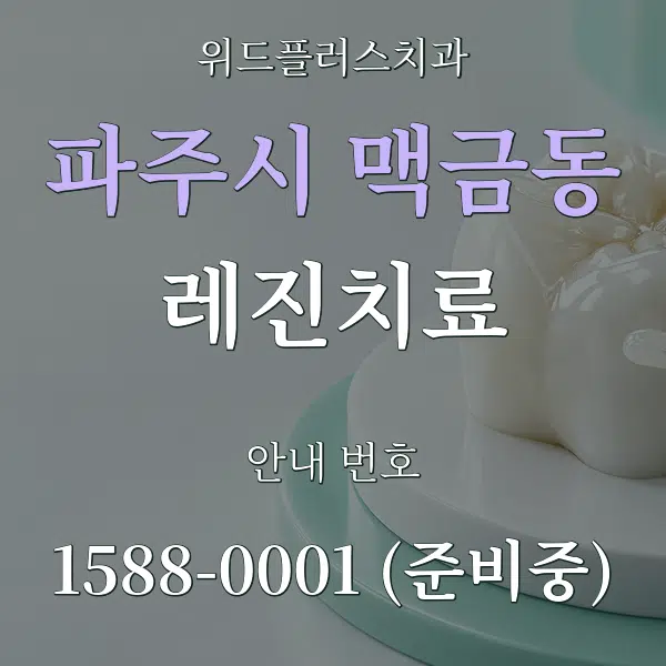 파주시 맥금동 레진치료 대표 안내 그래픽