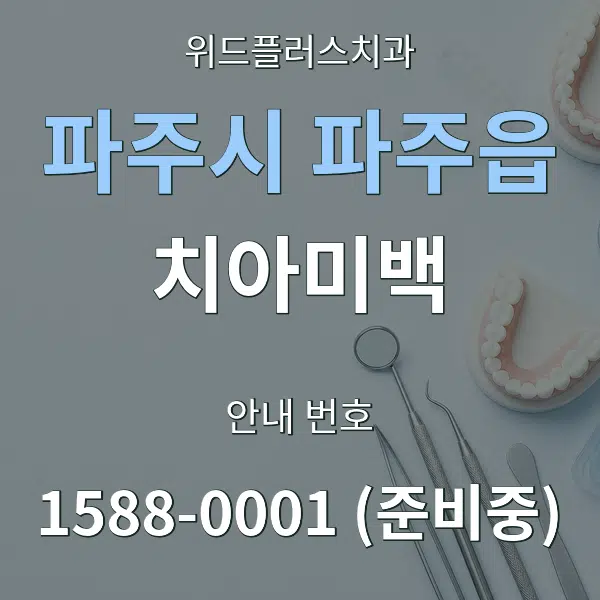 파주시 파주읍 치아미백 대표 안내 그래픽