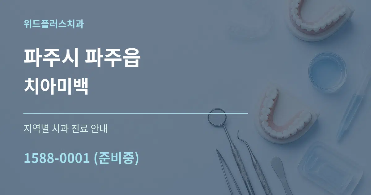 파주시 파주읍 치아미백 대표 안내 그래픽