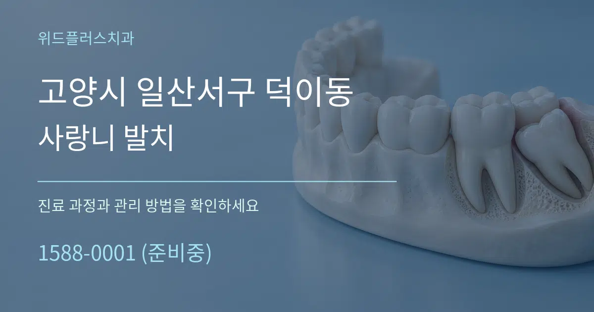 고양시 일산서구 덕이동 사랑니 발치 작업 조건 안내 그래픽
