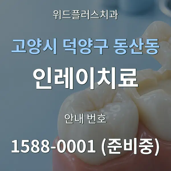 고양시 덕양구 동산동 인레이치료 대표 안내 그래픽
