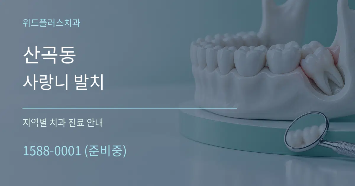 산곡동 사랑니 발치 대표 안내 그래픽