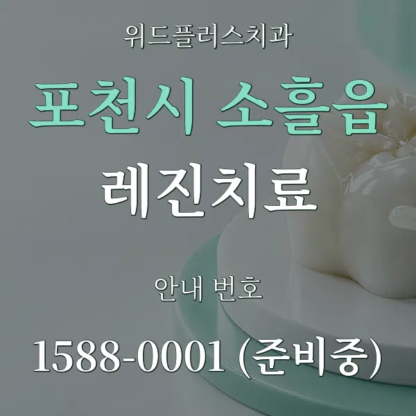 포천시 소흘읍 레진치료 대표 안내 그래픽
