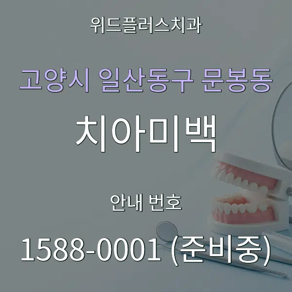 고양시 일산동구 문봉동 치아미백 대표 안내 그래픽