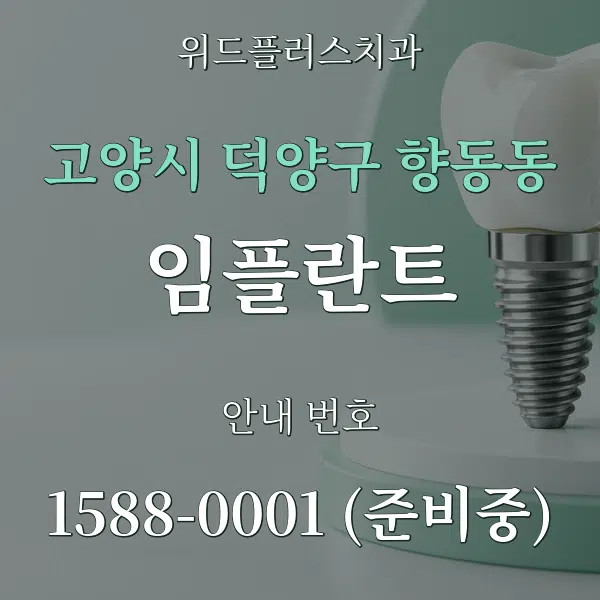 고양시 덕양구 향동동 임플란트 대표 안내 그래픽