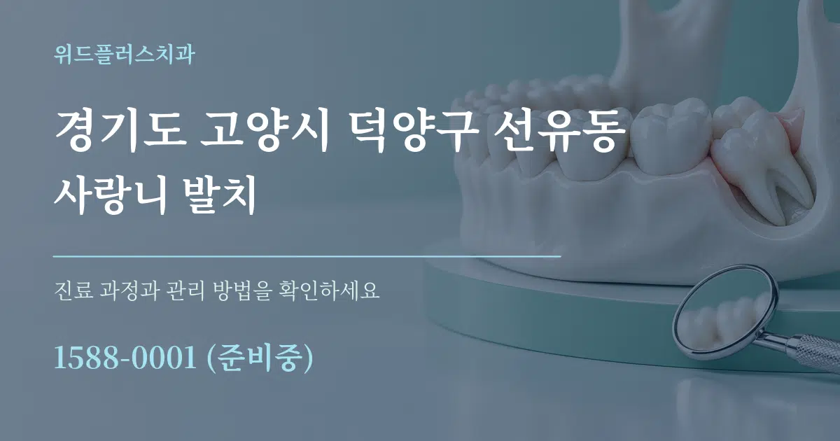 경기도 고양시 덕양구 선유동 사랑니 발치 서비스 이용 안내 그래픽