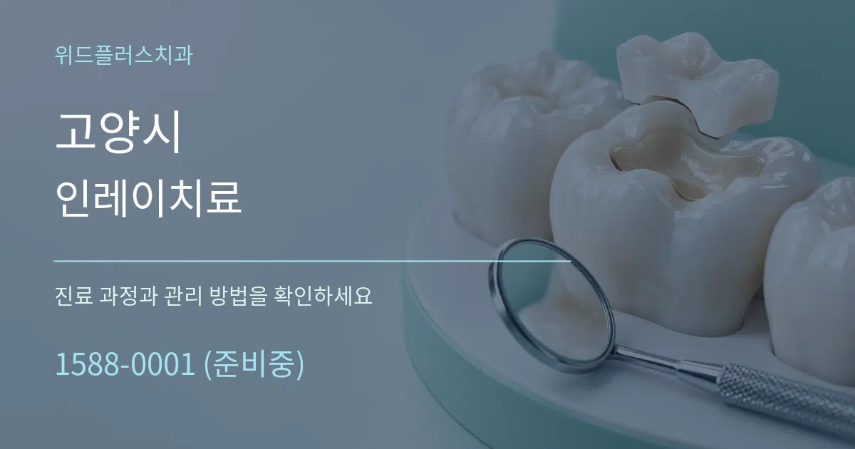 고양시 인레이치료 작업 조건 안내 그래픽
