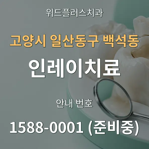 고양시 일산동구 백석동 인레이치료 대표 안내 그래픽