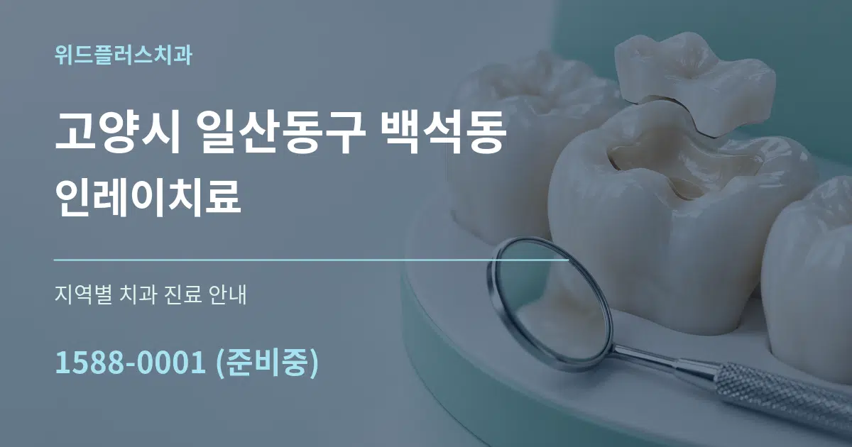 고양시 일산동구 백석동 인레이치료 대표 안내 그래픽