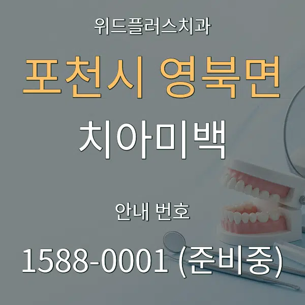 포천시 영북면 치아미백 대표 안내 그래픽