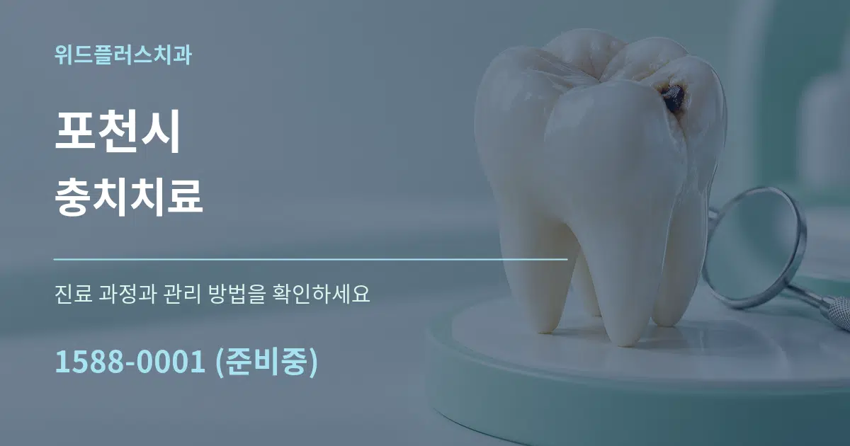 포천시 충치치료 서비스 이용 안내 그래픽