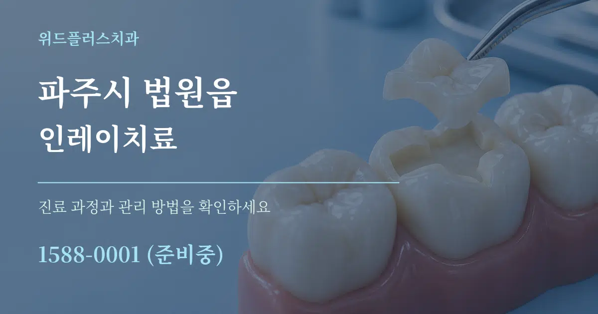 파주시 법원읍 인레이치료 서비스 이용 안내 그래픽