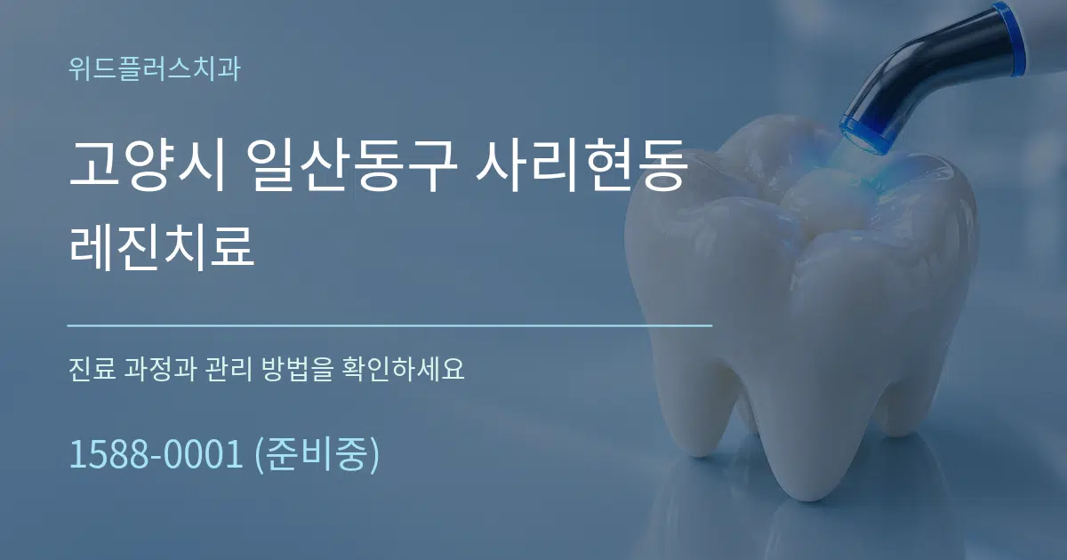 고양시 일산동구 사리현동 레진치료 서비스 이용 안내 그래픽