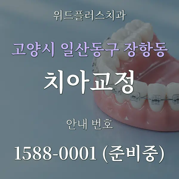 고양시 일산동구 장항동 치아교정 대표 안내 그래픽