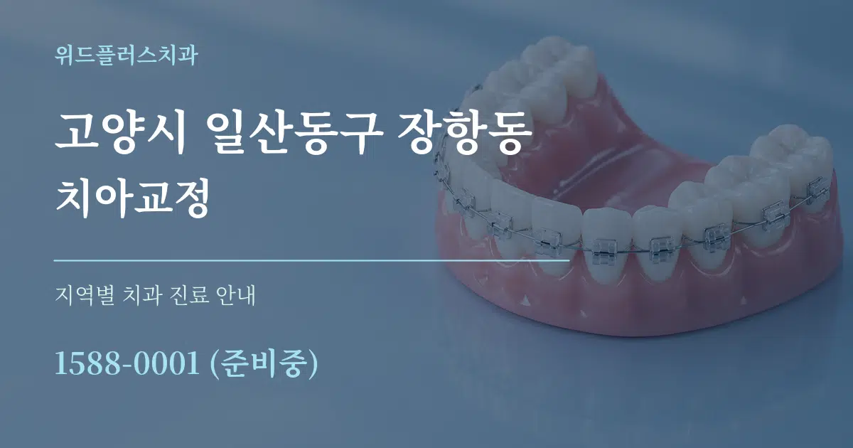 고양시 일산동구 장항동 치아교정 대표 안내 그래픽