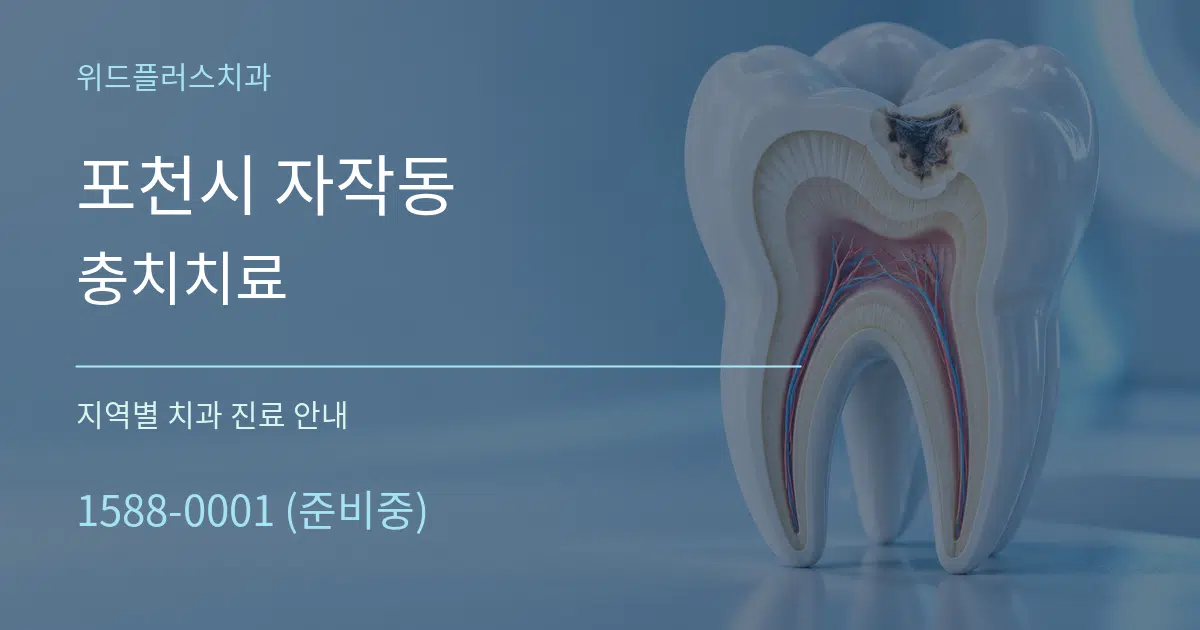 포천시 자작동 충치치료 대표 안내 그래픽