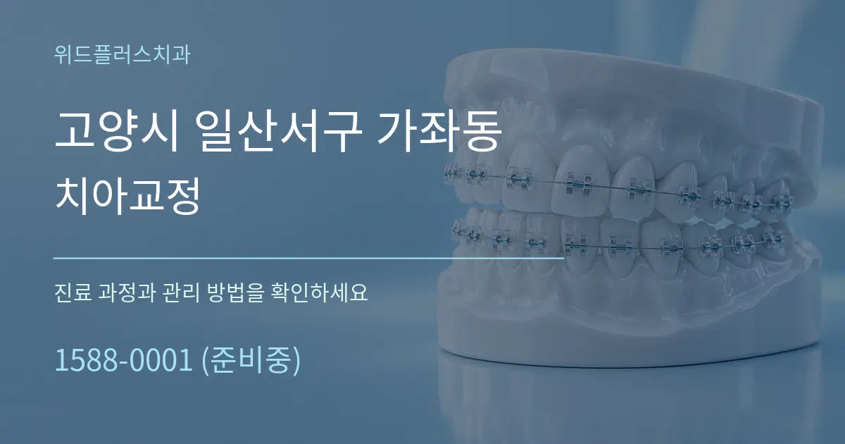 고양시 일산서구 가좌동 치아교정 작업 조건 안내 그래픽