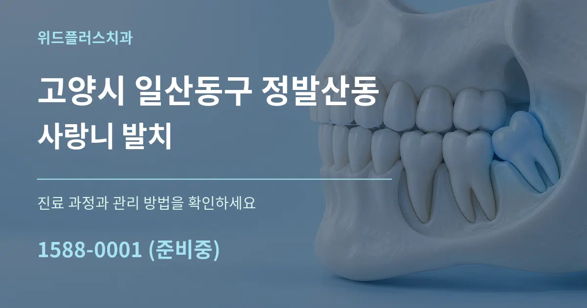 고양시 일산동구 정발산동 사랑니 발치 서비스 이용 안내 그래픽