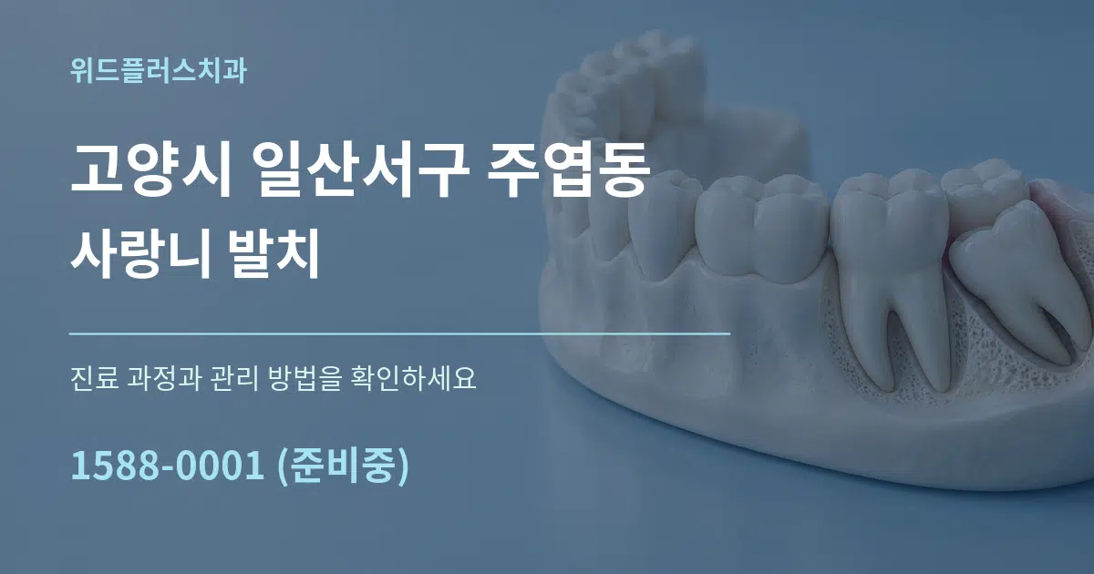 고양시 일산서구 주엽동 사랑니 발치 작업 조건 안내 그래픽
