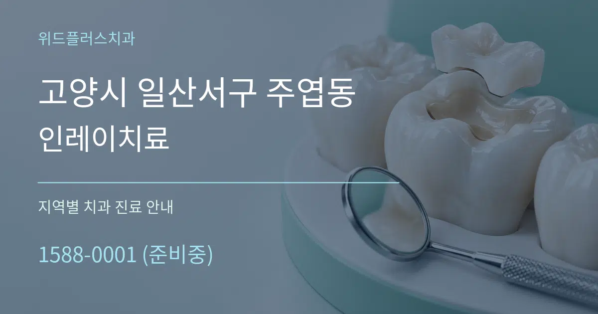 고양시 일산서구 주엽동 인레이치료 대표 안내 그래픽