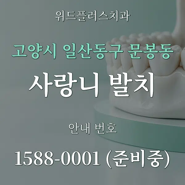 고양시 일산동구 문봉동 사랑니 발치 대표 안내 그래픽