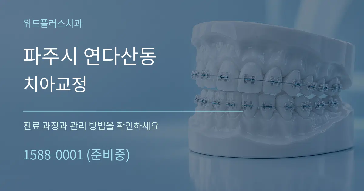 파주시 연다산동 치아교정 서비스 이용 안내 그래픽