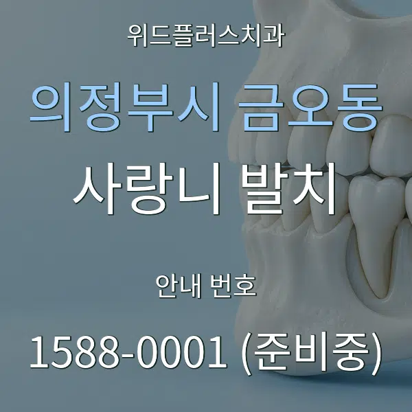 의정부시 금오동 사랑니 발치 대표 안내 그래픽