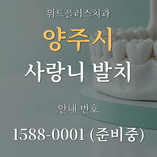 양주시 사랑니 발치 대표 안내 그래픽