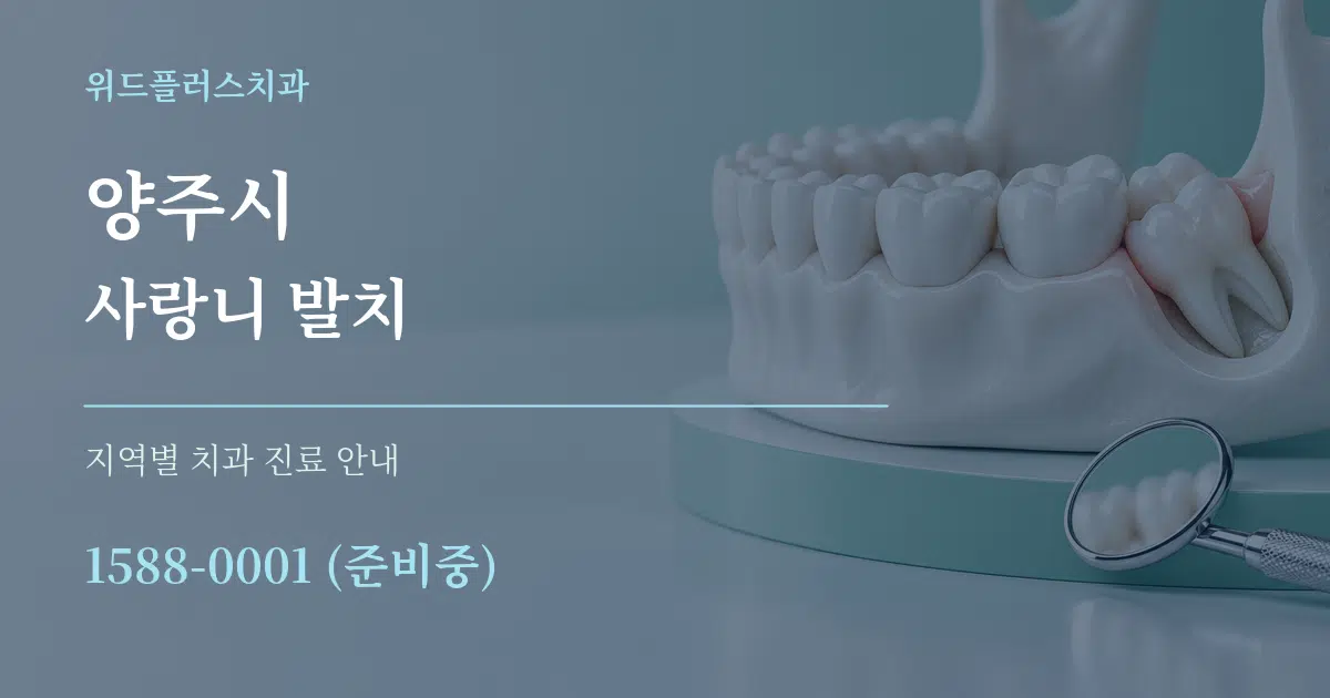 양주시 사랑니 발치 대표 안내 그래픽