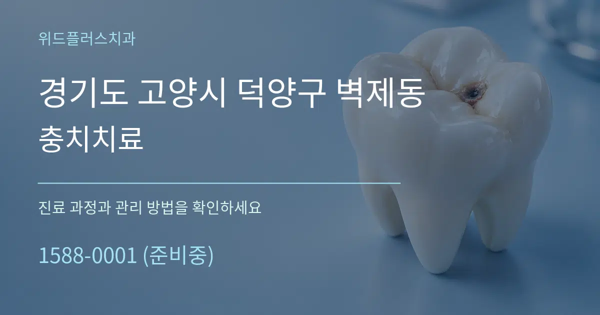 경기도 고양시 덕양구 벽제동 충치치료 작업 조건 안내 그래픽