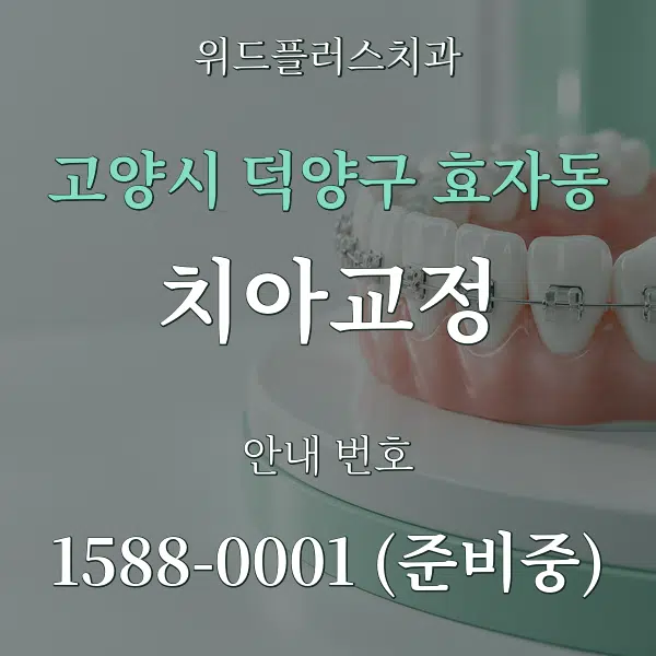 고양시 덕양구 효자동 치아교정 대표 안내 그래픽