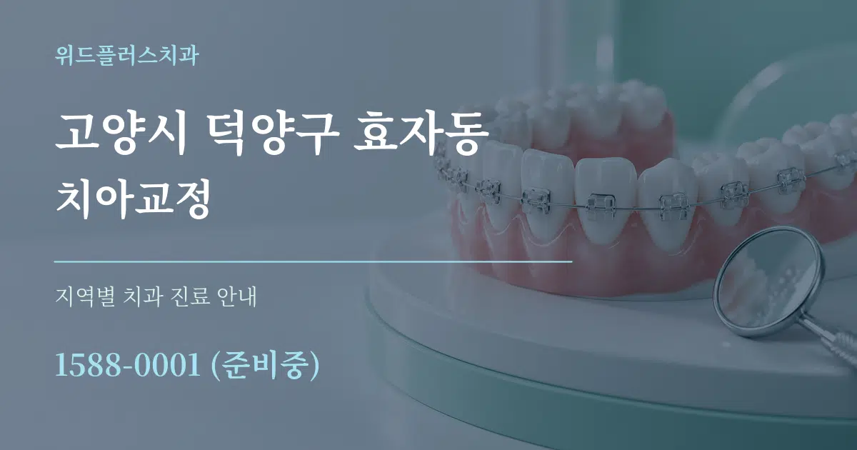 고양시 덕양구 효자동 치아교정 대표 안내 그래픽