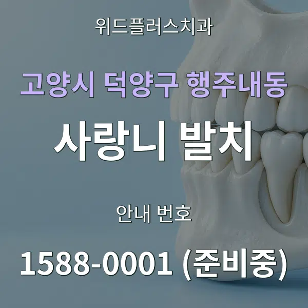고양시 덕양구 행주내동 사랑니 발치 대표 안내 그래픽