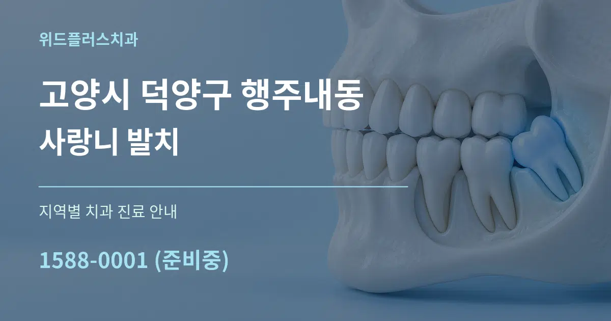 고양시 덕양구 행주내동 사랑니 발치 대표 안내 그래픽