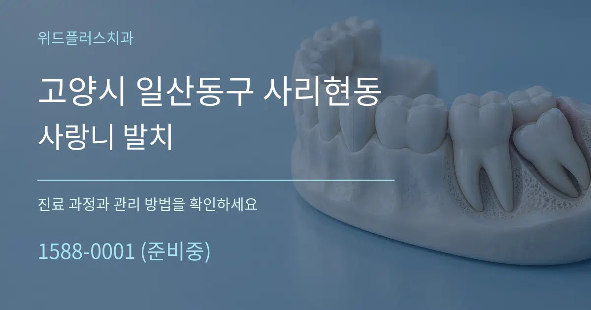 고양시 일산동구 사리현동 사랑니 발치 작업 조건 안내 그래픽